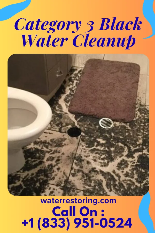 Category 3 Black Water Cleanup in Murchison, TX